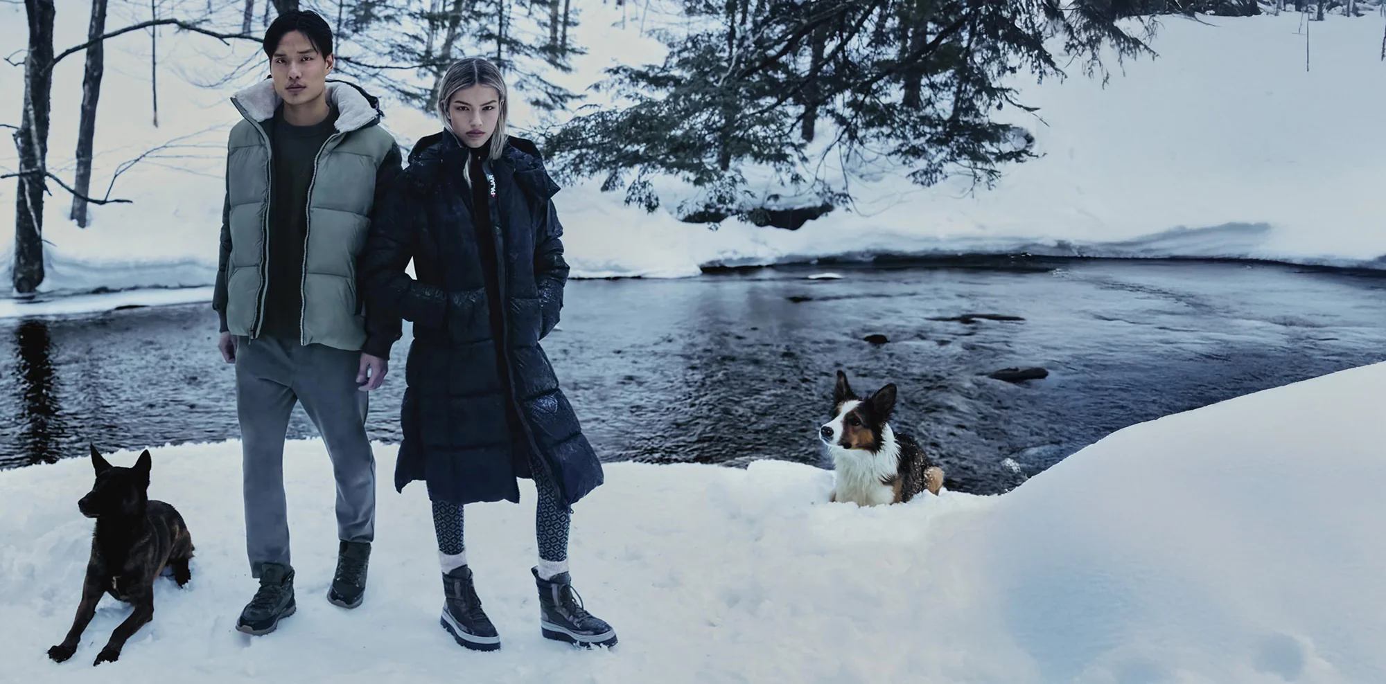 Master the Elements for Less