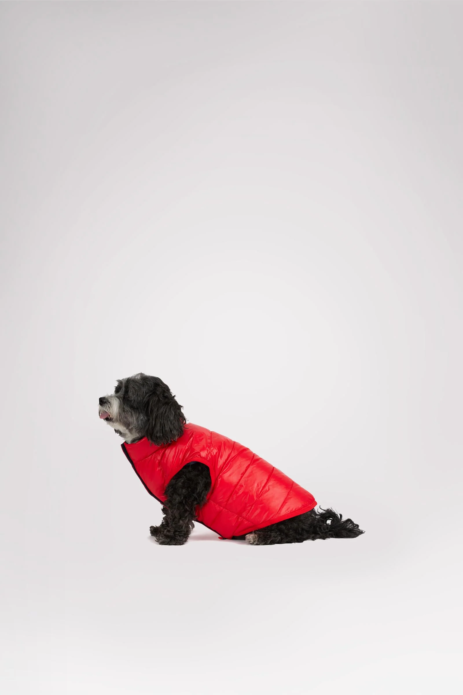 Cora Reversible Packable Puffer for Dogs - Image 3