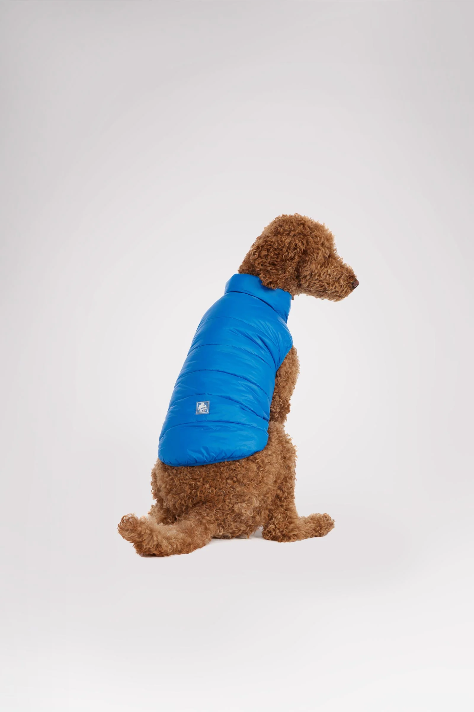 Cora Reversible Packable Puffer for Dogs - Image 4