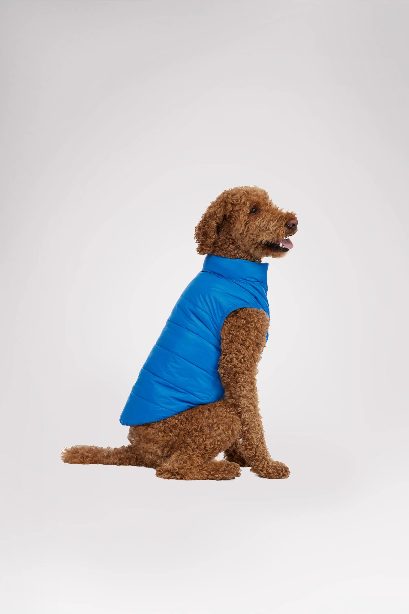 Cora Reversible Packable Puffer for Dogs - Image 5