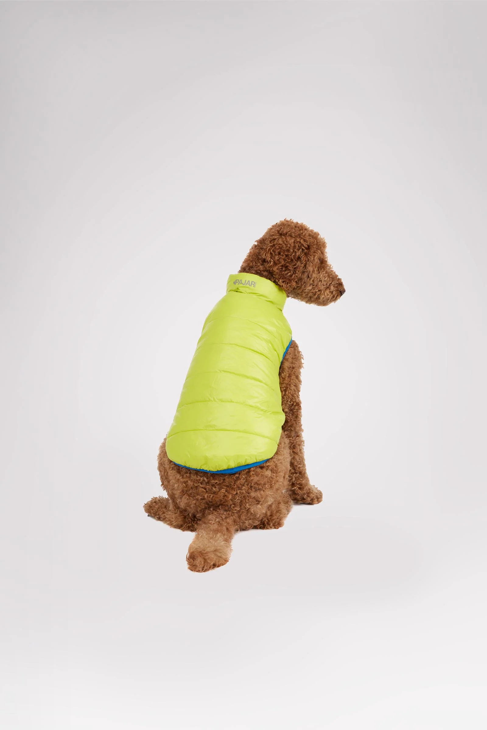 Cora Reversible Packable Puffer for Dogs - Image 7