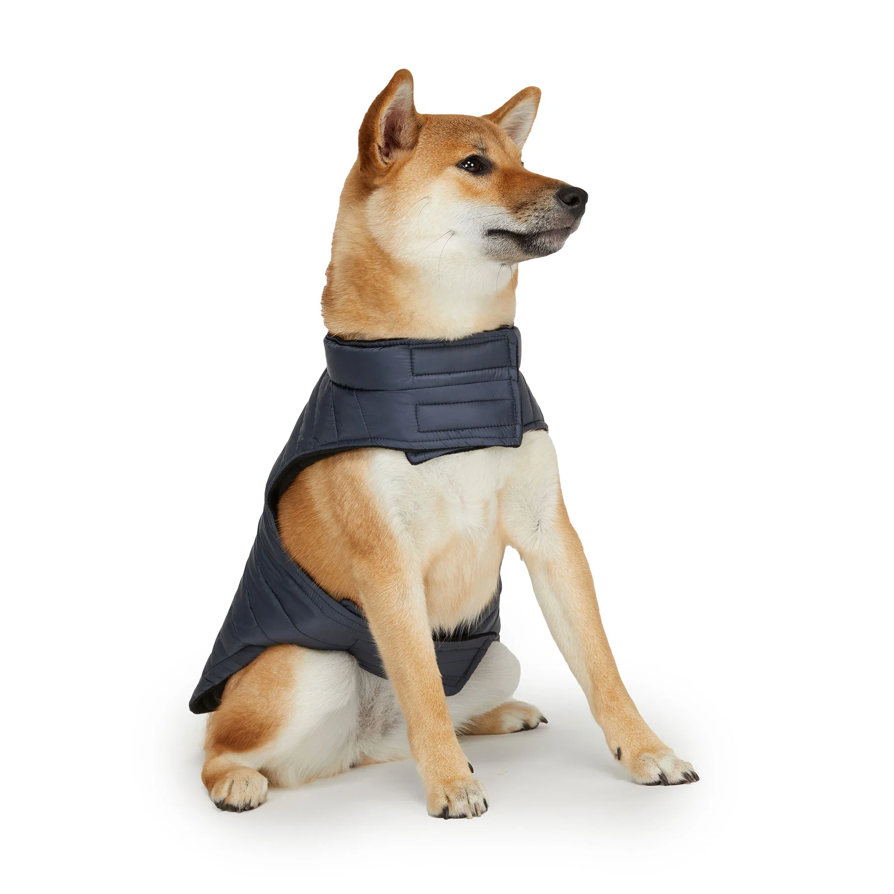 Spencer Jacket for Dogs - Image 3